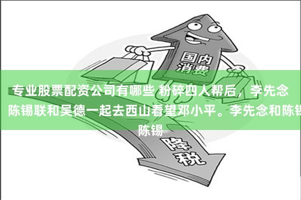 专业股票配资公司有哪些 粉碎四人帮后，李先念、陈锡联和吴德一起去西山看望邓小平。李先念和陈锡