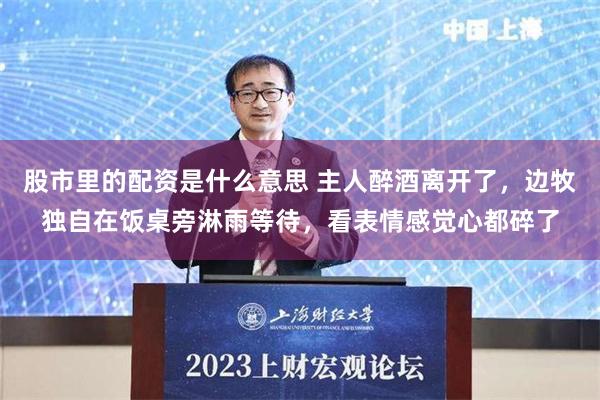股市里的配资是什么意思 主人醉酒离开了，边牧独自在饭桌旁淋雨等待，看表情感觉心都碎了