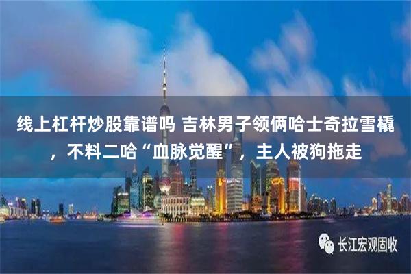 线上杠杆炒股靠谱吗 吉林男子领俩哈士奇拉雪橇，不料二哈“血脉觉醒”，主人被狗拖走