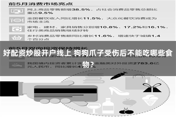 好配资炒股开户线上 狗狗爪子受伤后不能吃哪些食物？