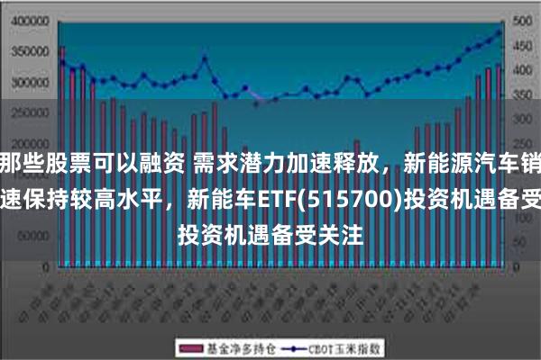 那些股票可以融资 需求潜力加速释放，新能源汽车销量增速保持较高水平，新能车ETF(515700)投资机遇备受关注