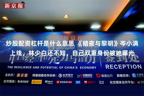 炒股配资杠杆是什么意思 《暗夜与黎明》岑小满上线，林少白还不知，自己双重身份被她曝光