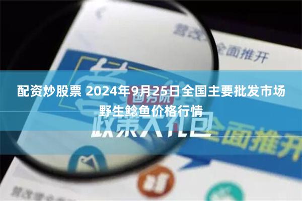 配资炒股票 2024年9月25日全国主要批发市场野生鲶鱼价格行情