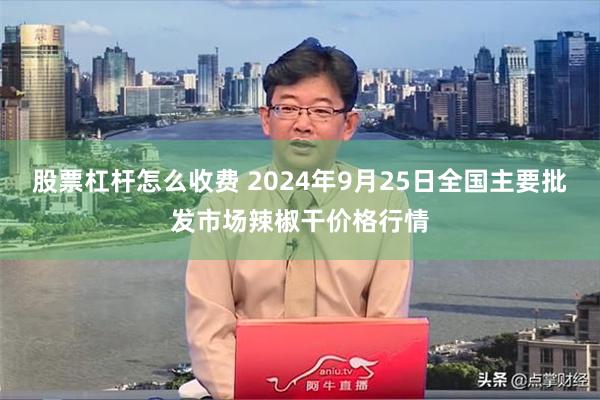 股票杠杆怎么收费 2024年9月25日全国主要批发市场辣椒干价格行情