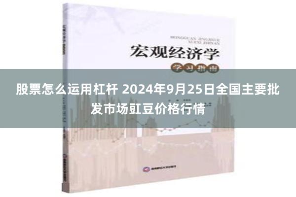 股票怎么运用杠杆 2024年9月25日全国主要批发市场豇豆价格行情