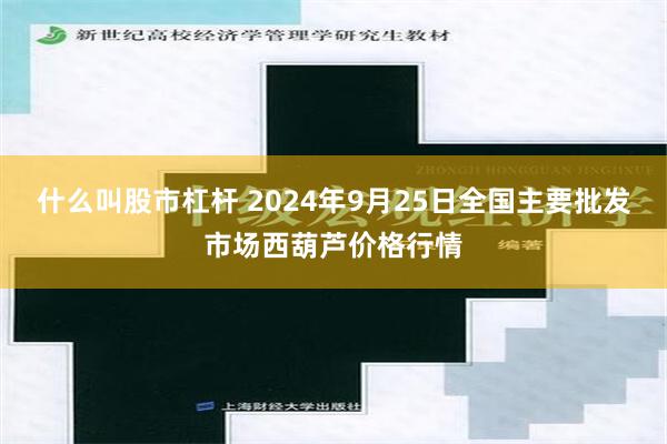 什么叫股市杠杆 2024年9月25日全国主要批发市场西葫芦价格行情