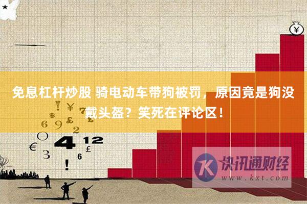 免息杠杆炒股 骑电动车带狗被罚，原因竟是狗没戴头盔？笑死在评论区！