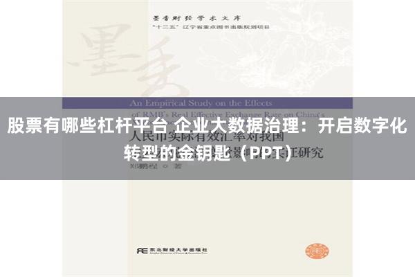 股票有哪些杠杆平台 企业大数据治理：开启数字化转型的金钥匙（PPT）