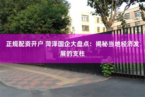 正规配资开户 菏泽国企大盘点：揭秘当地经济发展的支柱