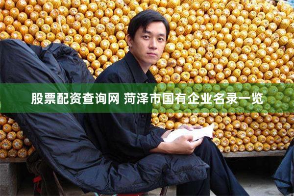 股票配资查询网 菏泽市国有企业名录一览