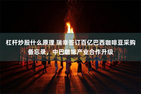 杠杆炒股什么原理 瑞幸签订百亿巴西咖啡豆采购备忘录，中巴咖啡产业合作升级