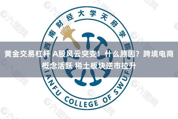 黄金交易杠杆 A股风云突变！什么原因？跨境电商概念活跃 稀土板块逆市拉升