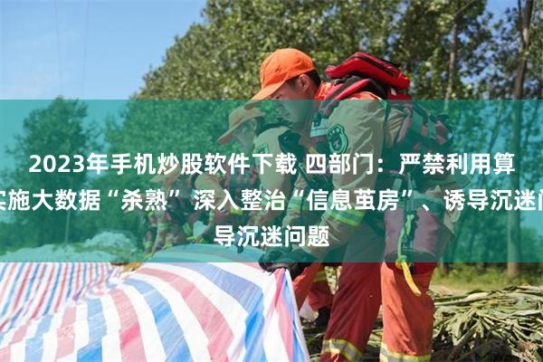 2023年手机炒股软件下载 四部门：严禁利用算法实施大数据“杀熟” 深入整治“信息茧房”、诱导沉迷问题