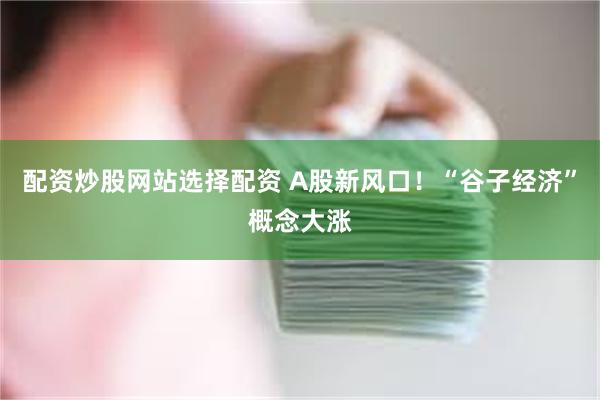 配资炒股网站选择配资 A股新风口！“谷子经济”概念大涨