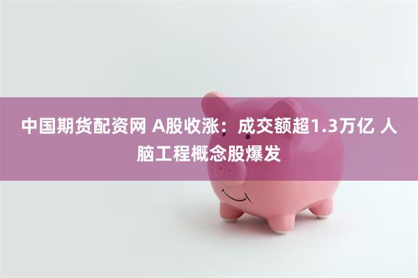 中国期货配资网 A股收涨：成交额超1.3万亿 人脑工程概念股爆发