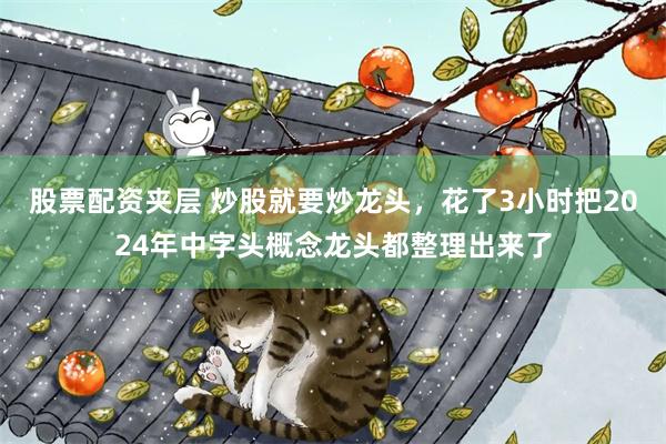股票配资夹层 炒股就要炒龙头，花了3小时把2024年中字头概念龙头都整理出来了
