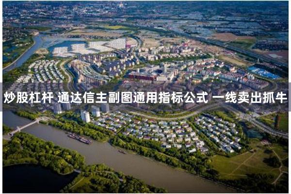 炒股杠杆 通达信主副图通用指标公式 一线卖出抓牛