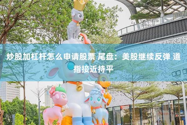 炒股加杠杆怎么申请股票 尾盘：美股继续反弹 道指接近持平