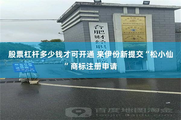 股票杠杆多少钱才可开通 来伊份新提交“松小仙”商标注册申请