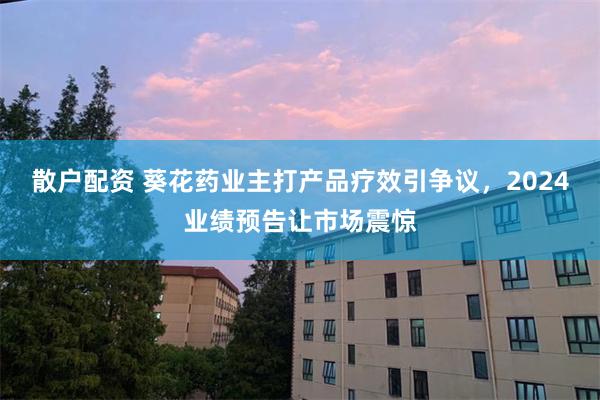 散户配资 葵花药业主打产品疗效引争议，2024业绩预告让市场震惊