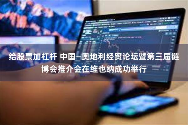 给股票加杠杆 中国—奥地利经贸论坛暨第三届链博会推介会在维也纳成功举行