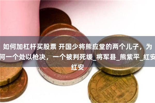 如何加杠杆买股票 开国少将熊应堂的两个儿子，为何一个处以枪决，一个被判死缓_将军县_熊紫平_红安