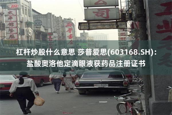 杠杆炒股什么意思 莎普爱思(603168.SH)：盐酸奥洛他定滴眼液获药品注册证书