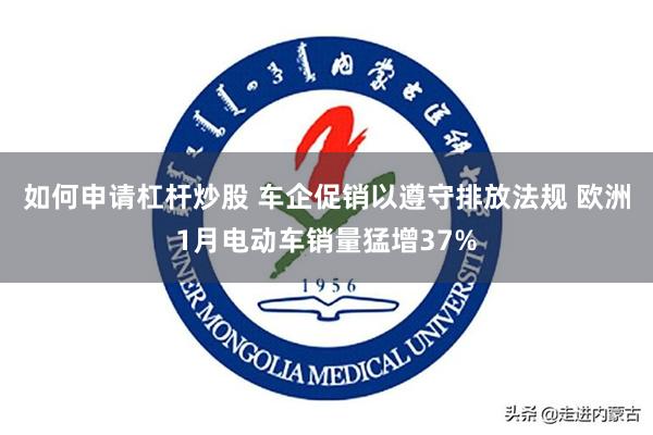 如何申请杠杆炒股 车企促销以遵守排放法规 欧洲1月电动车销量猛增37%