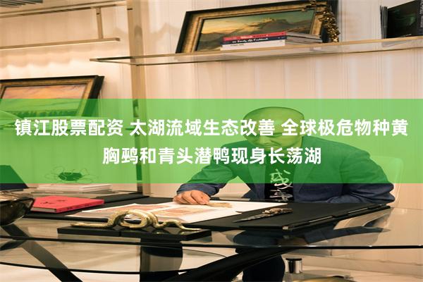 镇江股票配资 太湖流域生态改善 全球极危物种黄胸鹀和青头潜鸭现身长荡湖