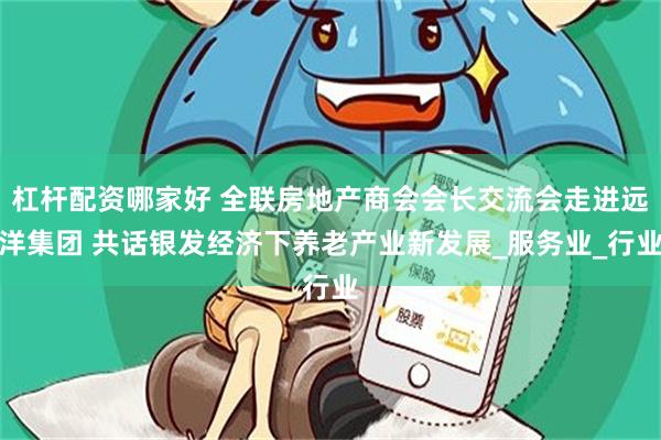 杠杆配资哪家好 全联房地产商会会长交流会走进远洋集团 共话银发经济下养老产业新发展_服务业_行业