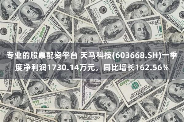 专业的股票配资平台 天马科技(603668.SH)一季度净利润1730.14万元，同比增长162.56%