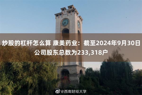 炒股的杠杆怎么算 康美药业：截至2024年9月30日公司股东总数为233,318户