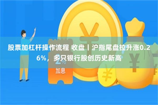 股票加杠杆操作流程 收盘丨沪指尾盘拉升涨0.26%，多只银行股创历史新高