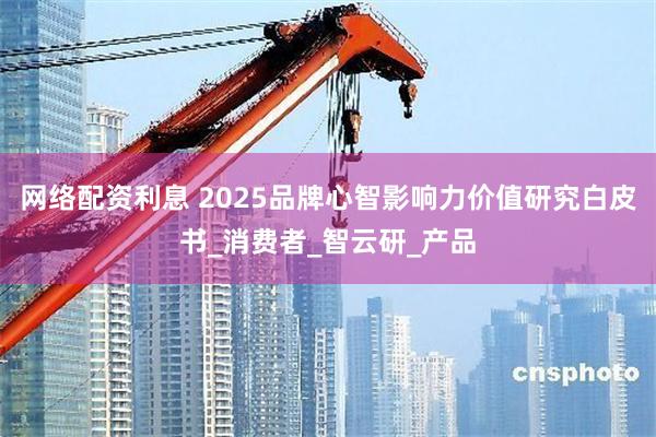 网络配资利息 2025品牌心智影响力价值研究白皮书_消费者_智云研_产品