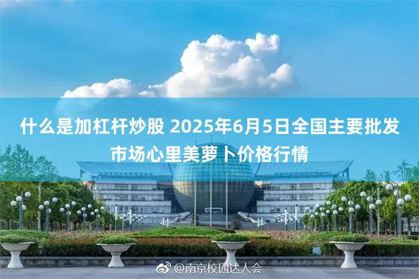 什么是加杠杆炒股 2025年6月5日全国主要批发市场心里美萝卜价格行情