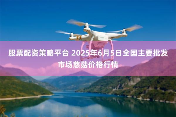股票配资策略平台 2025年6月5日全国主要批发市场慈菇价格行情