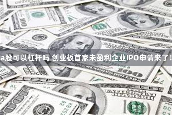 a股可以杠杆吗 创业板首家未盈利企业IPO申请来了！