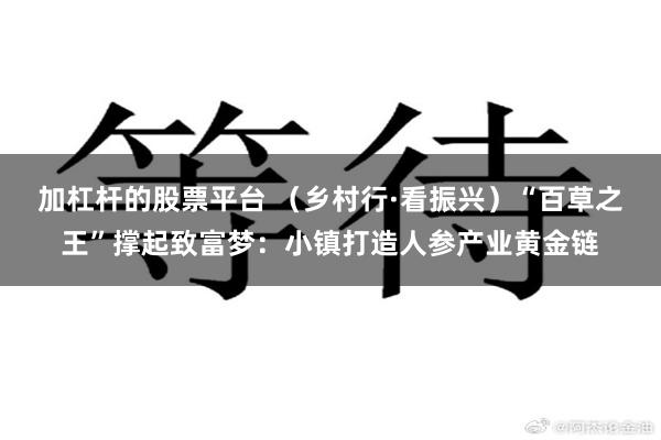 加杠杆的股票平台 （乡村行·看振兴）“百草之王”撑起致富梦：小镇打造人参产业黄金链