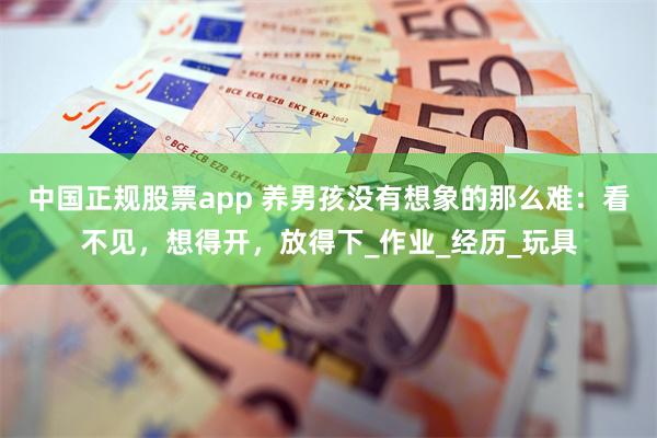中国正规股票app 养男孩没有想象的那么难：看不见，想得开，放得下_作业_经历_玩具