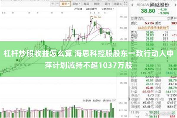 杠杆炒股收益怎么算 海思科控股股东一致行动人申萍计划减持不超1037万股