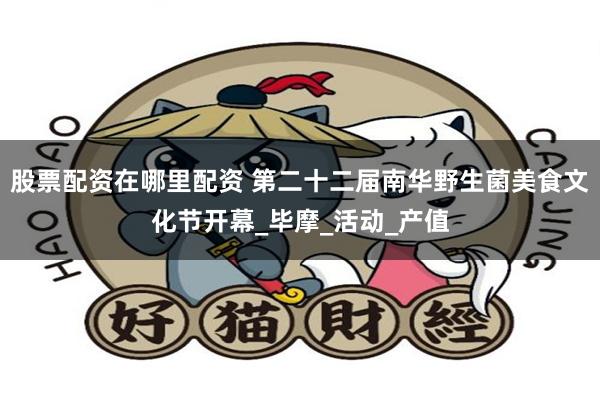 股票配资在哪里配资 第二十二届南华野生菌美食文化节开幕_毕摩_活动_产值