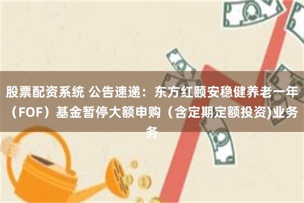 股票配资系统 公告速递:东方红颐安稳健养老一年(FOF)基金暂停大额申购(含定期定额投资)业务