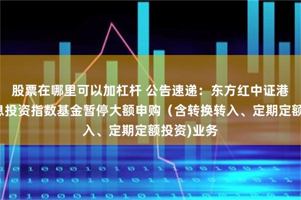 股票在哪里可以加杠杆 公告速递:东方红中证港股通高股息投资指数基金暂停大额申购(含转换转入、定期定额投资)业务