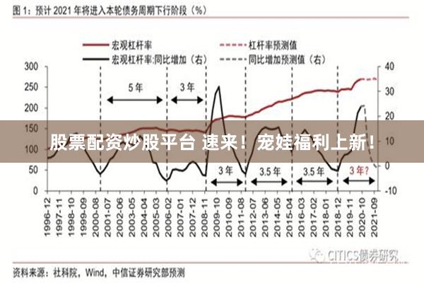 股票配资炒股平台 速来！宠娃福利上新！