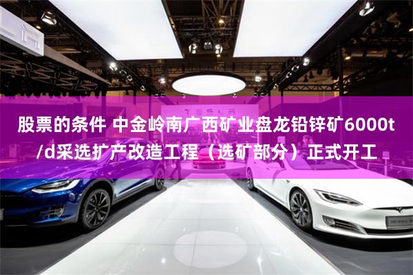 股票的条件 中金岭南广西矿业盘龙铅锌矿6000t/d采选扩产改造工程（选矿部分）正式开工
