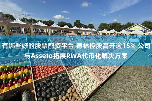 有哪些好的股票配资平台 德林控股高开逾15% 公司与Asseto拓展RWA代币化解决方案