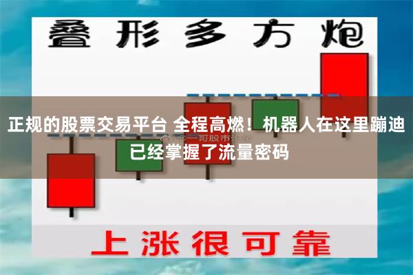 正规的股票交易平台 全程高燃！机器人在这里蹦迪 已经掌握了流量密码