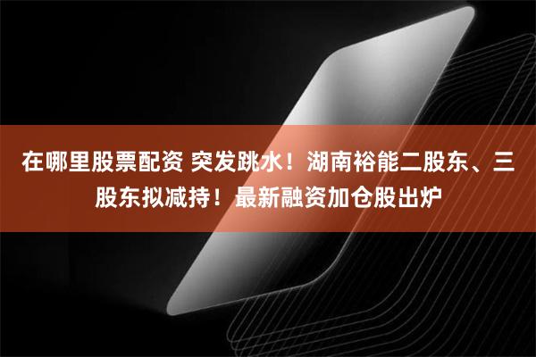 在哪里股票配资 突发跳水！湖南裕能二股东、三股东拟减持！最新融资加仓股出炉