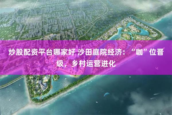 炒股配资平台哪家好 沙田庭院经济：“咖”位晋级，乡村运营进化