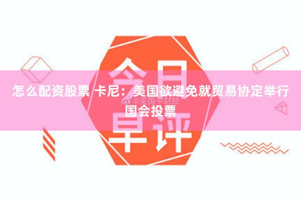 怎么配资股票 卡尼:美国欲避免就贸易协定举行国会投票